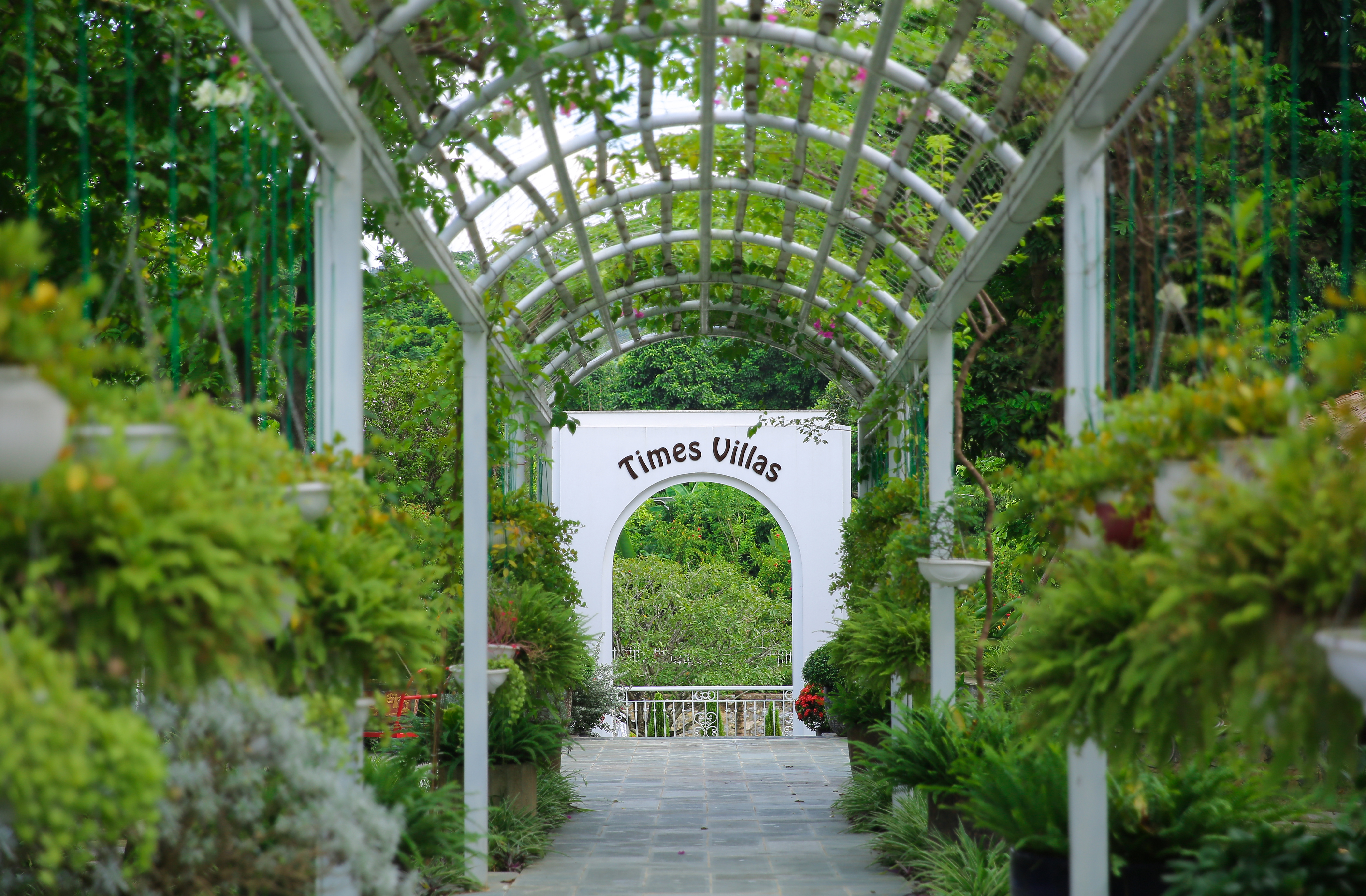 Câu chuyện Times Villas