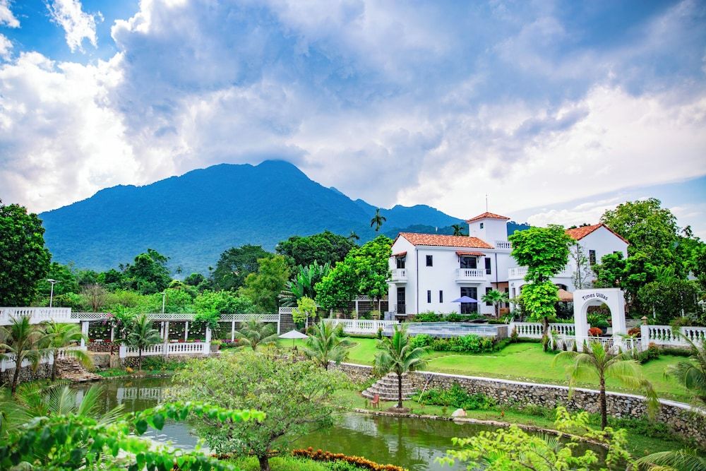 Không gian xanh Times Villas